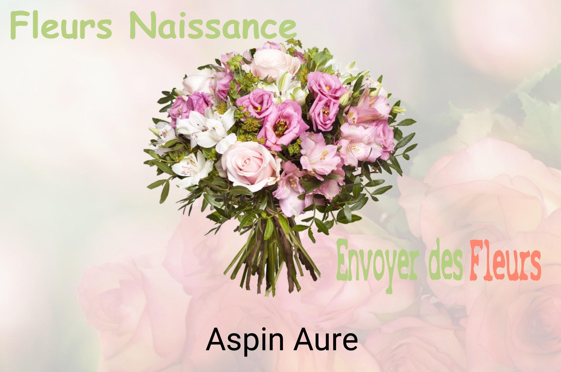Bouquet de fleurs de naissance livré à Aspin-Aure