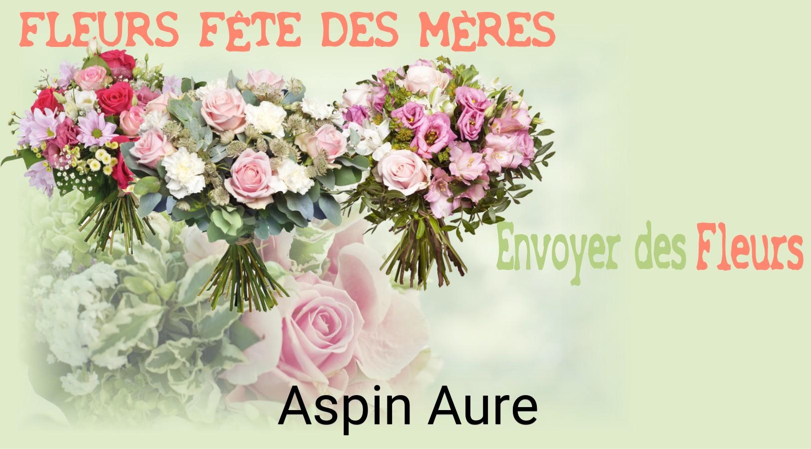 Bouquet de Fête des Mères livré à Aspin-Aure